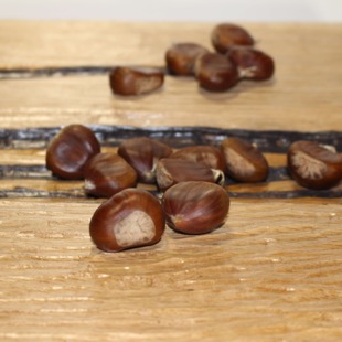 Libeccio Cinque 12
